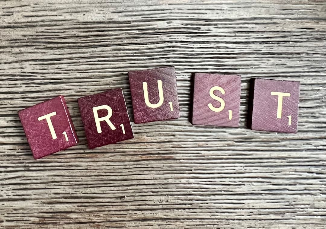 Building brand trust